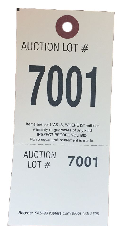Professional Pro Tags with Matching Control Numbers (1000/Box) - Ideal for Inventory Management, Asset Tracking & Retail Organization