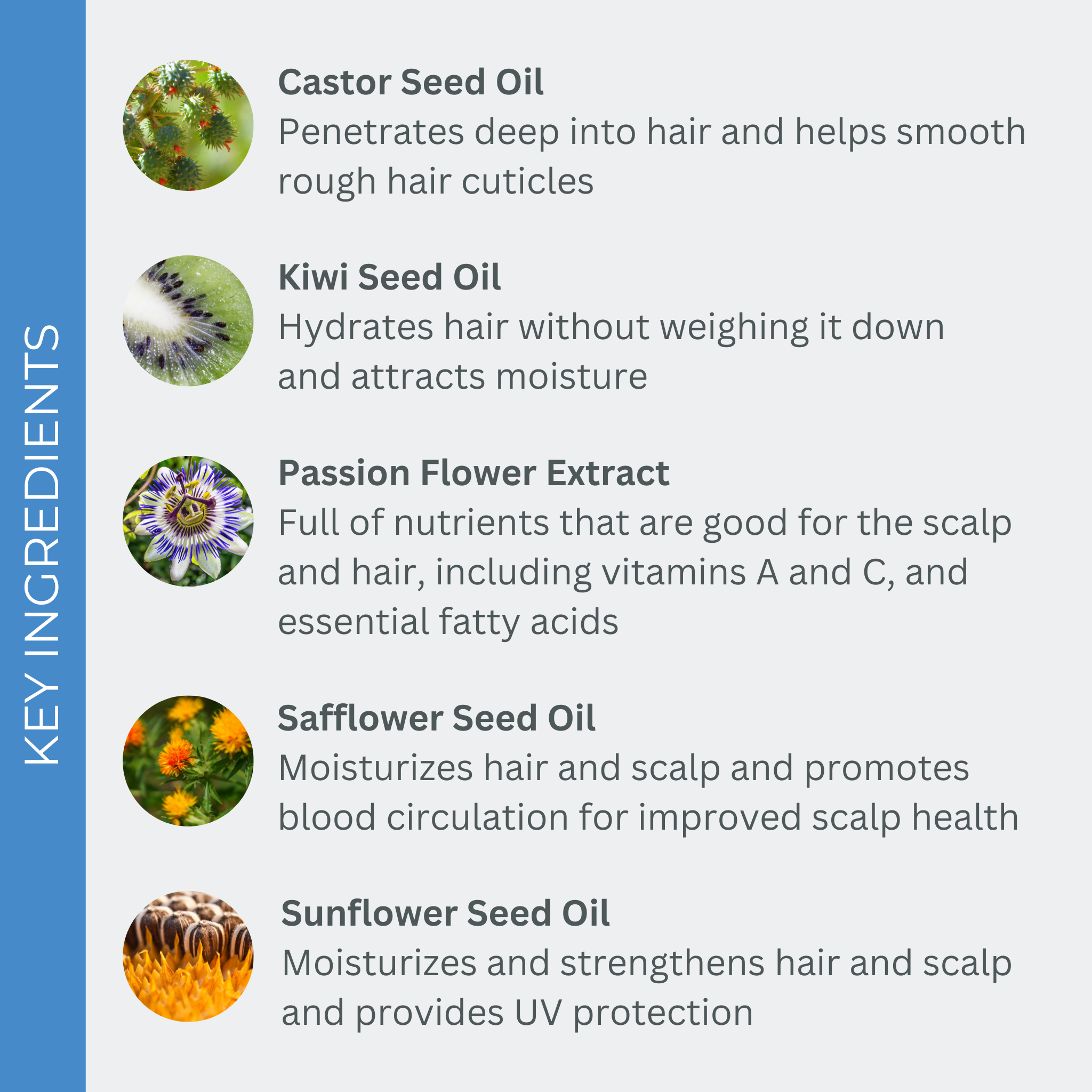 SmartCurl Hydrating Conditioner for Curly Hair - Deep Moisturizing & Frizz Control - Perfect for Dry, Damaged Hair - Salon Quality Hair Care at Home