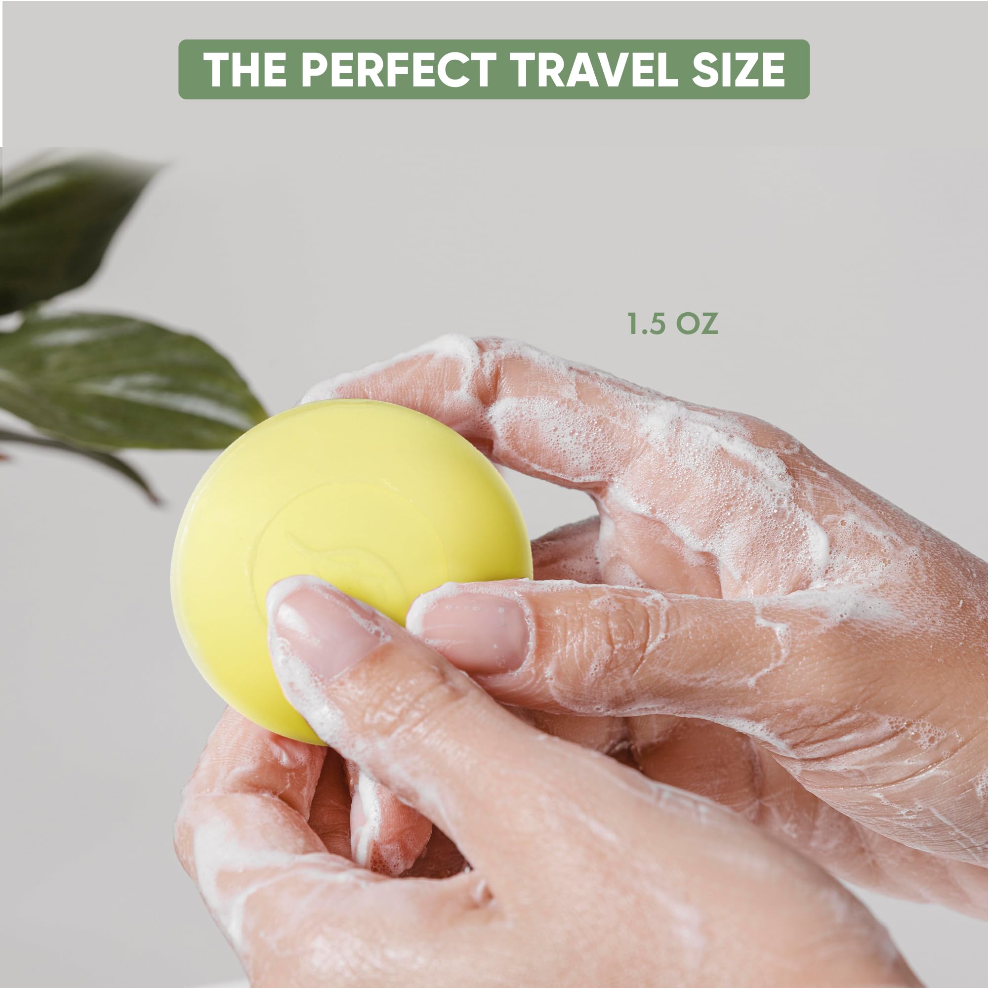 Terra Pure Bar Soap - 1.5 oz Travel Size (Pack of 250) | Natural Hotel Amenities for Guests & Eco-Friendly Travel Toiletries | Perfect for Hotels, Airbnb, Gyms & Travel Kits