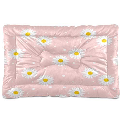 Pink Daisy