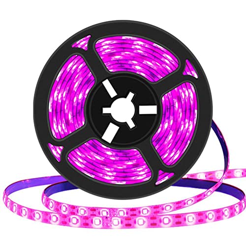 Waterproof (A) 1 Meter Light Strip