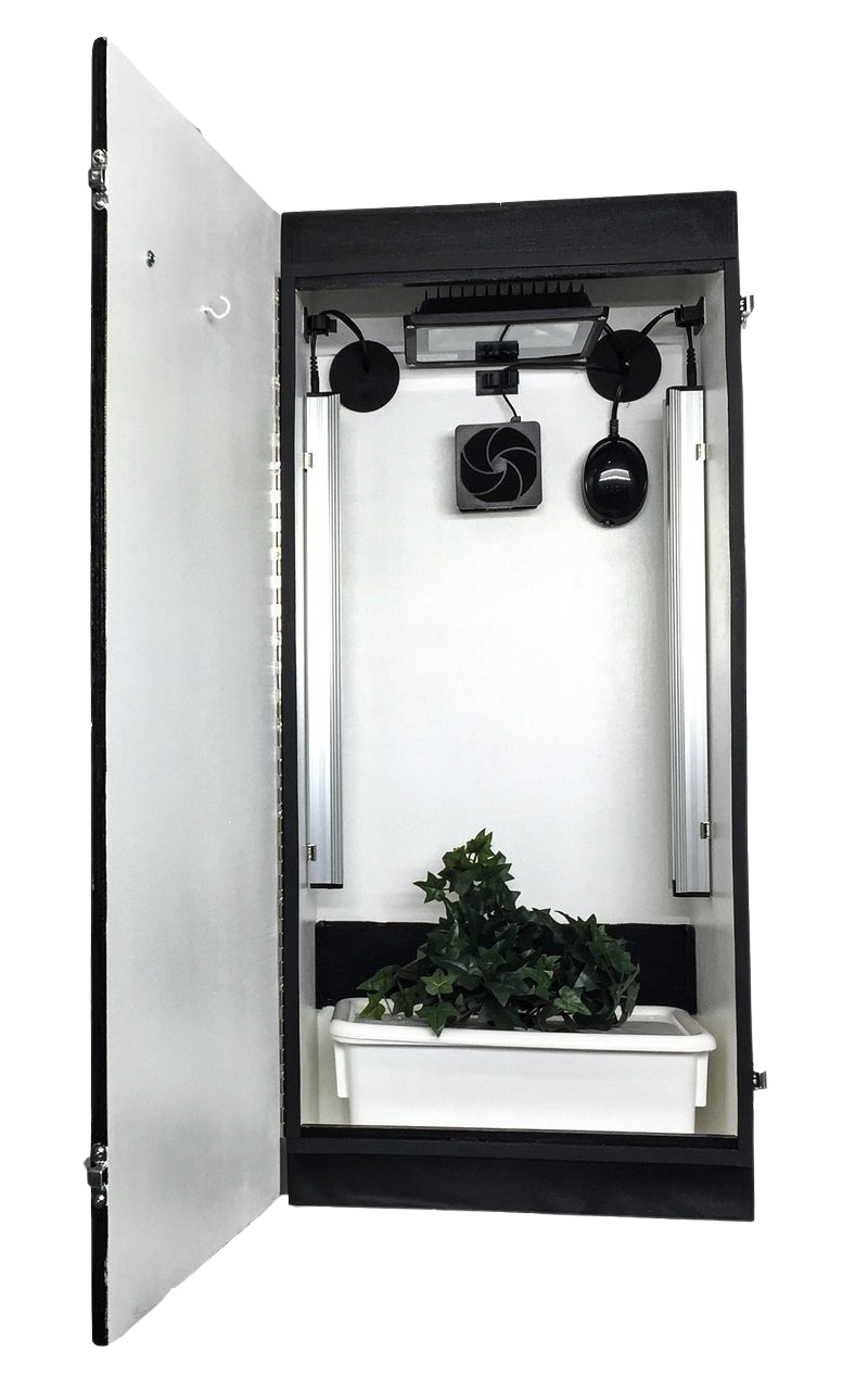 Dealzer Cash Crop 6.0 Hydroponic Grow Box - 2 Plant LED Indoor Garden System for Herbs, Vegetables & Flowers | Perfect for Home, Office & Small Space Gardening