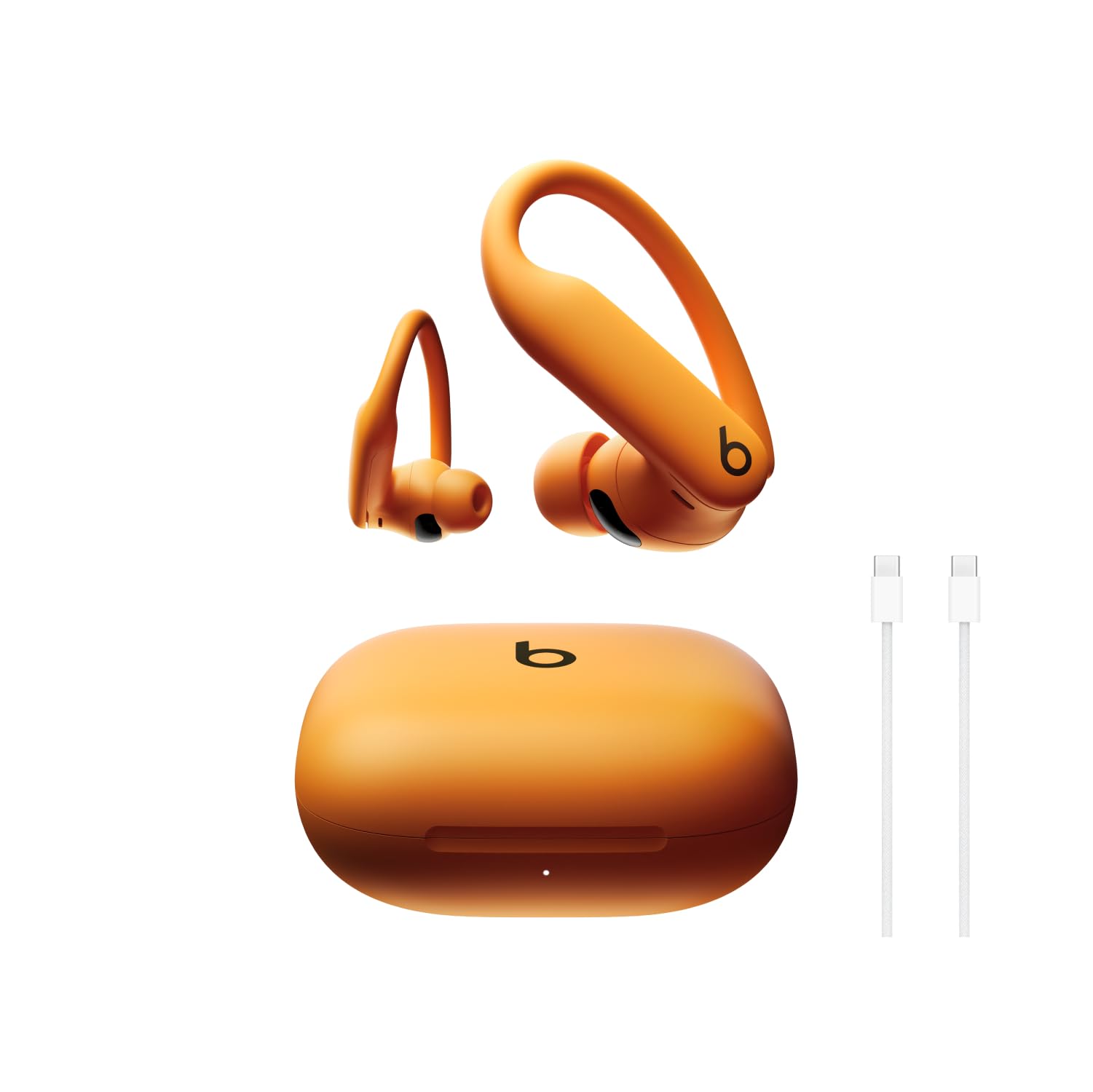 Beats Powerbeats Pro 2 Wireless Bluetooth Earbuds - Sweatproof & Secure Fit Earphones with USB-C Fast Charging (1m Cable) | Perfect for Workouts, Running & Gym Training