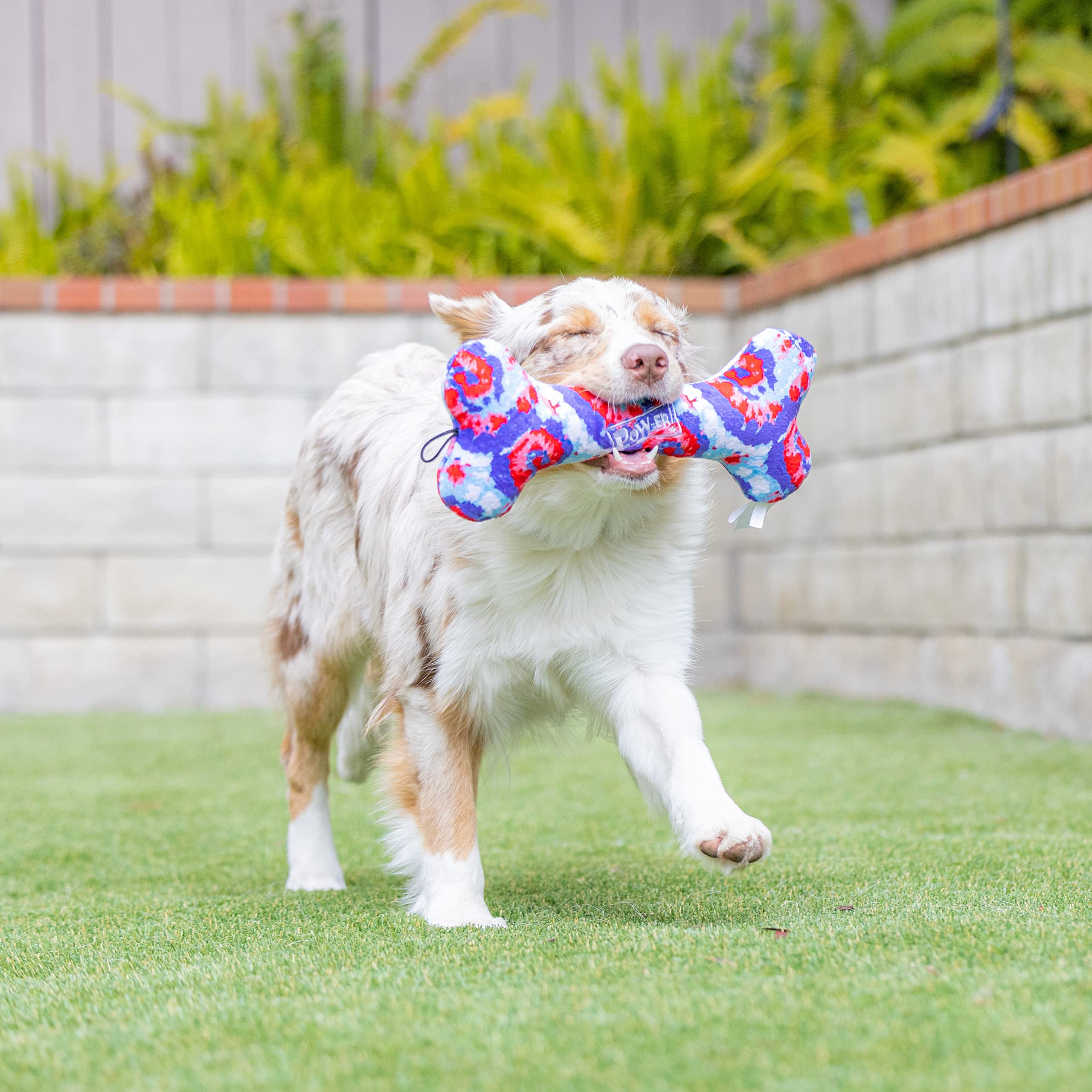 Huxley & Kent Squeaky Dog Toy for Small Dogs - USA Made 4th of July Themed Plush Bone with Squeaker | Fun, Durable & Safe Chew Toy | Perfect Gift for Puppies & Dog Lovers | Great for Playtime, Training & Holiday Celebrations