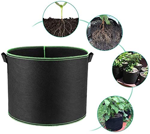 5 Pack Heavy Duty 300G Thickened Nonwoven Fabric Grow Bags with Handles - 10 Gallon Plant Pots for Vegetables, Flowers & Herbs - Ideal for Indoor Gardening, Balcony Planting & Outdoor Use (Black/Green)