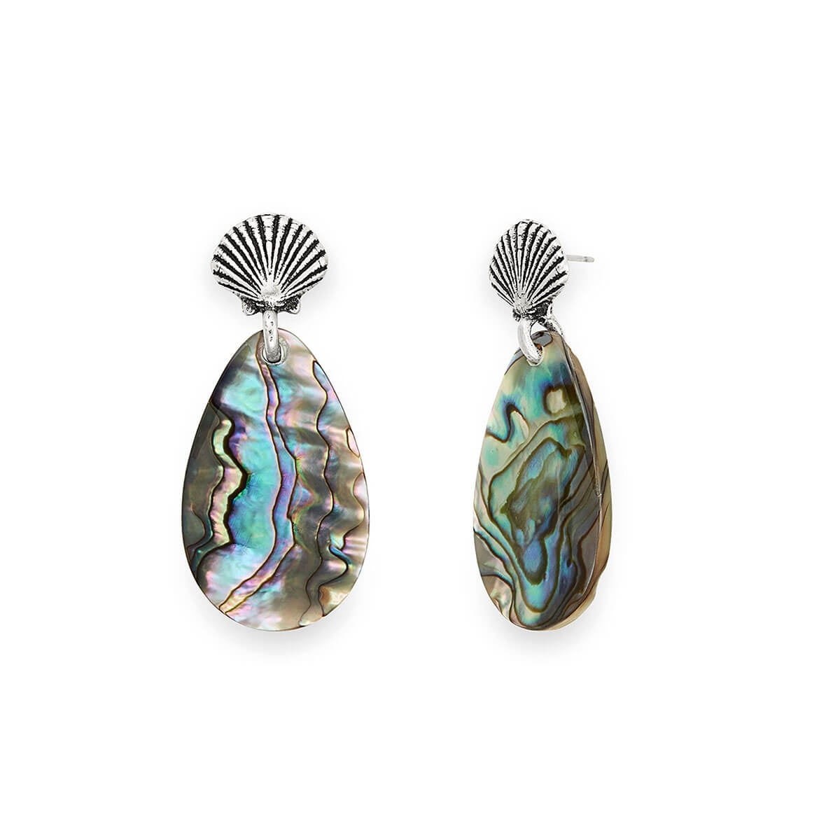 Exquisite Abalone Shell Statement Earrings for Women | Handmade Natural Shell Jewelry | Perfect for Boho, Beach, and Festival Outfits