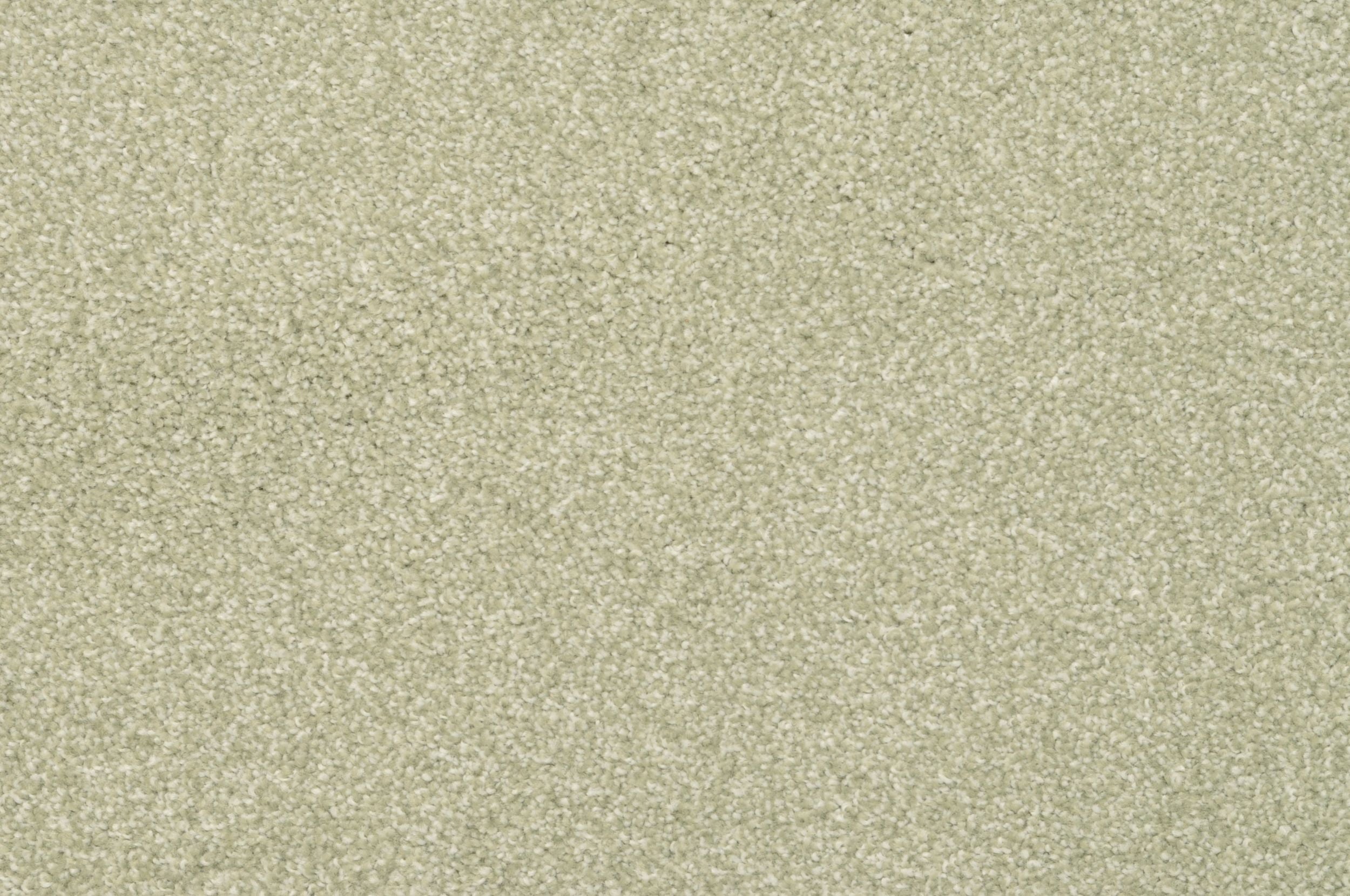 Bithia - Premium Quality Product for Your Everyday Needs | Perfect for Home, Office & Travel Use