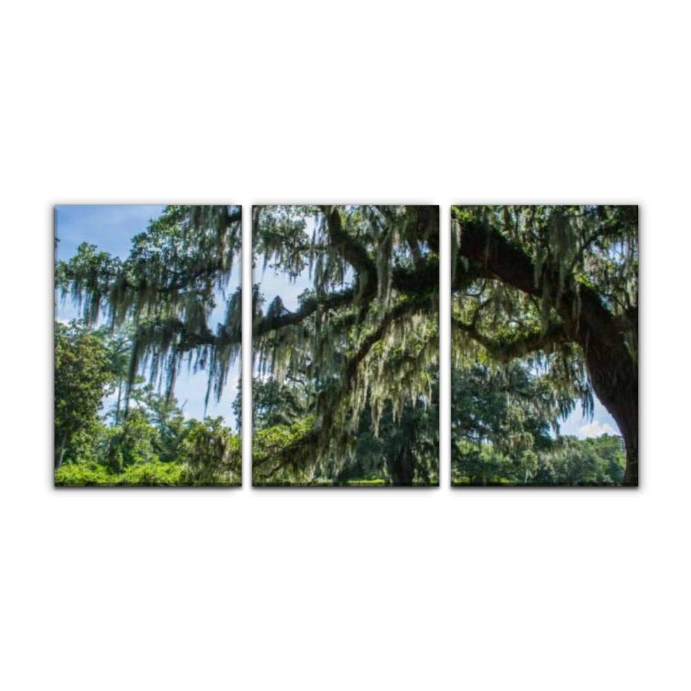 GraceLapin Modern Canvas Painting - Airlie Garden in Wilmington North Carolina, Landscape Wall Art Decor, Printed Oil Painting for Home, Office & Bedroom, Framed Set of 3 (16x24 Inches) | Perfect for Living Room, Dining Area & Gift Giving