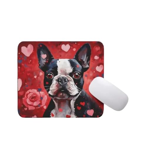 Boston Terrier