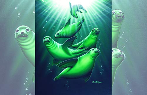 Sea Lions