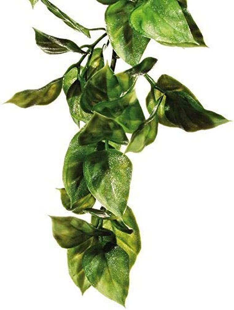 Exo Terra Large Plastic Terrarium Plant - Amapallo for Reptile & Amphibian Habitats - Perfect for Decorating Vivariums & Terrariums