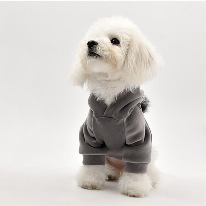 Cozy Thick Cotton Pom Pom Pet Hoodie for Small Dogs & Cats - Warm Winter Sweater for Indoor & Outdoor Play
