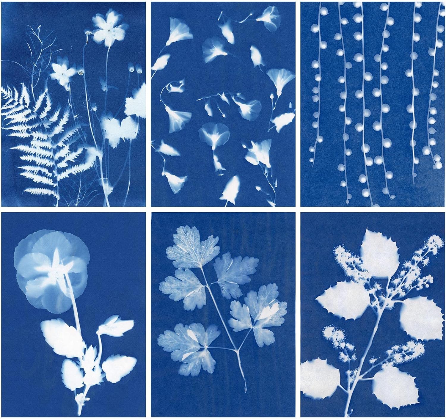 60 Sheets Sun Print Paper Cyanotype Kit - A6 Light Sensitive Solar Photography Paper with Acrylic Board for DIY Crafts, Kids Art Projects (4.1 x 5.8 inch) - Perfect for Nature Printing, Botanical Art & Educational STEM Activities