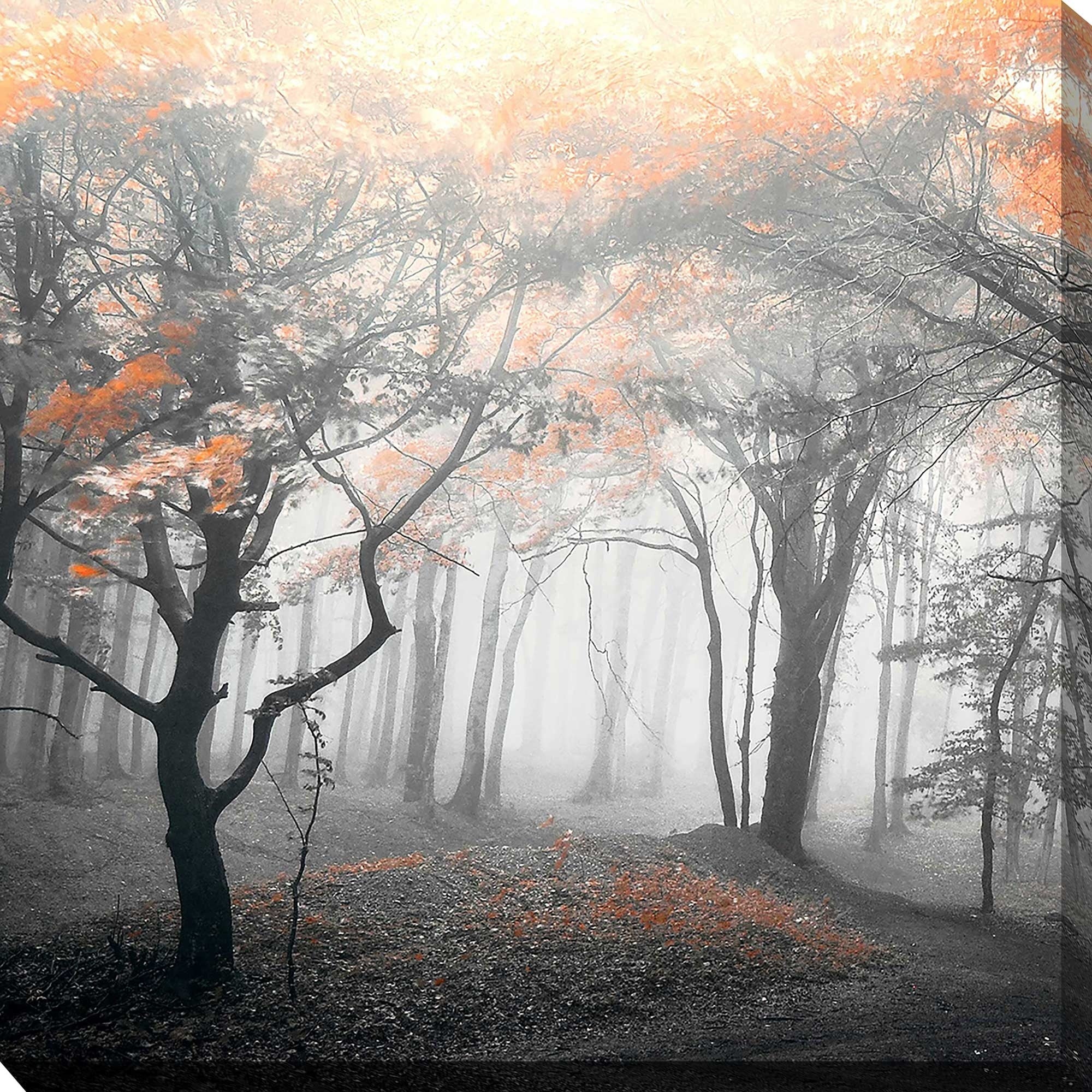 Autumn Woods Landscape Canvas Print by PhotoINC Studio - Nature Wall Art for Living Room, Bedroom & Office Decor