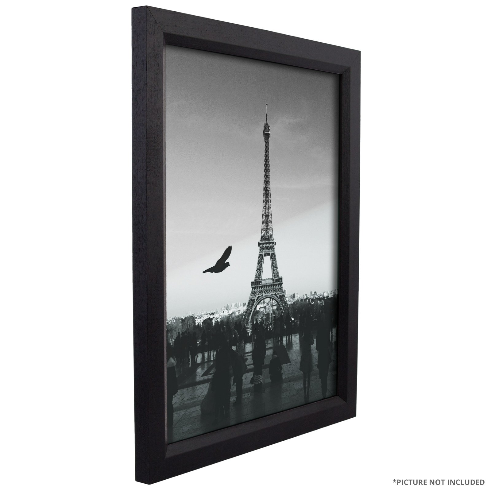 Craig Frames 22x34 Inch Economy Black Poster Frame - Solid Wood Picture Frame for Art, Photos, and Posters - Perfect for Home, Office, and Gallery Displays