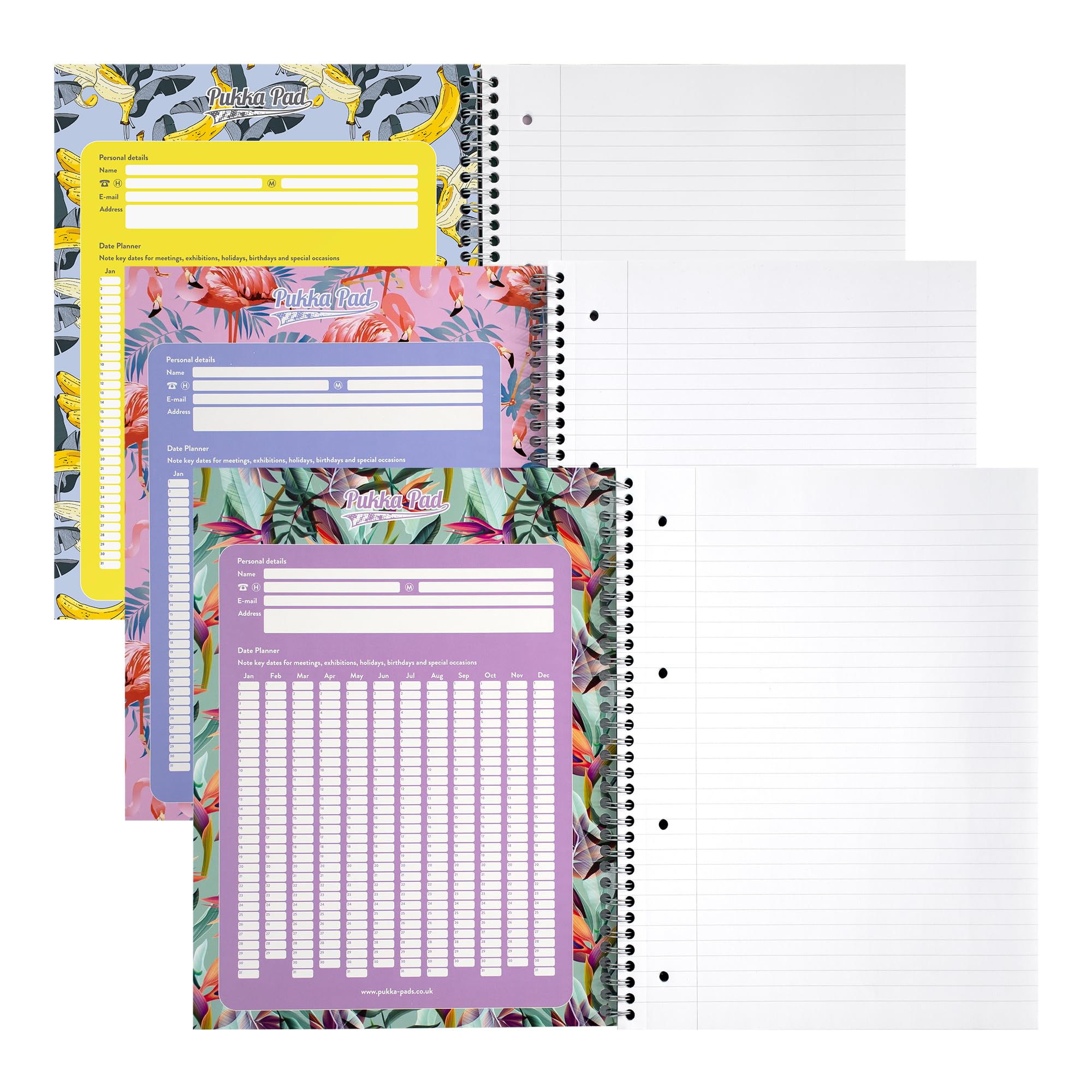 Pukka Pad Pastel Jotta Notebook - A4 Size, 3-Pack - Perfect for School, Office & Creative Writing