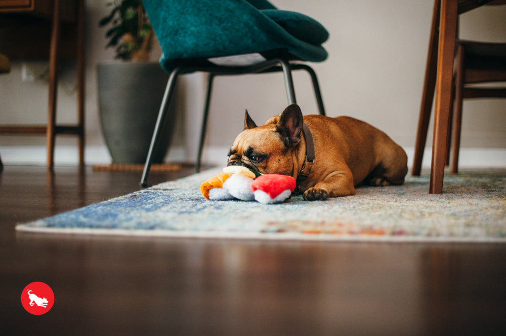 El Sushi Dog Plush Toy - International Classic™ Chew-Resistant Stuffed Animal for Dogs | Pet P.L.A.Y. | Perfect for Playtime, Cuddling & Training