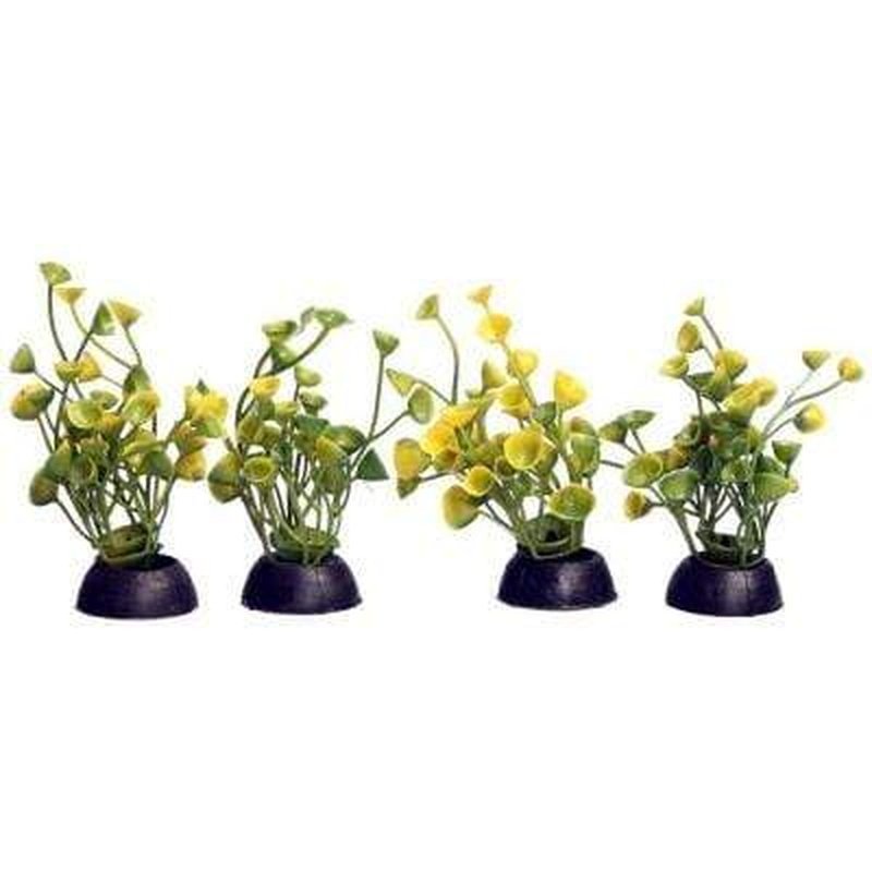 Aqua One Ecoscape Foreground Yellow Ogris Auribus 8cm 4 Pack - Perfect for Aquascaping & Planted Aquarium Decorations | Enhance Your Fish Tank with Vibrant Aquatic Plants