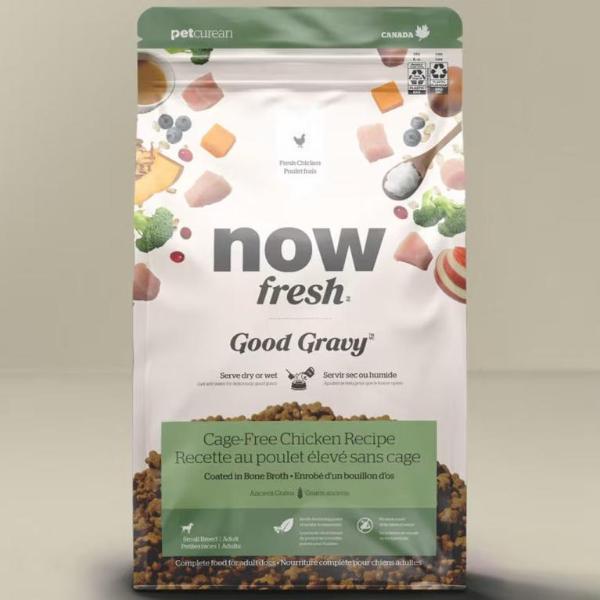Now Fresh Grain-Free Small Breed Adult Dry Dog Food - Chicken Recipe with Gravy | Perfect for Indoor & Outdoor Active Dogs