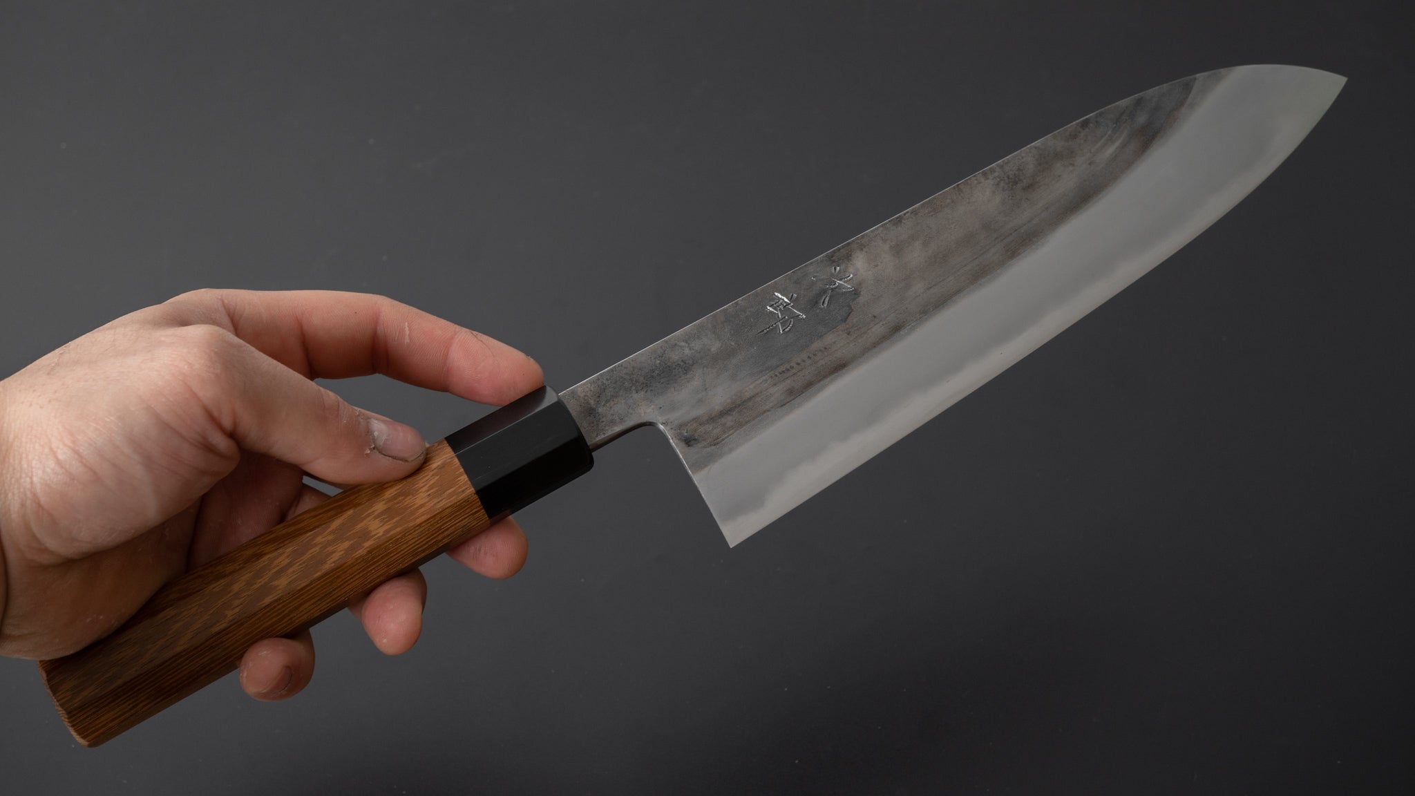 Premium Jiro Tsuchime Wa Gyuto 225mm Japanese Chef Knife with Taihei Tagayasan Handle - Perfect for Sushi, Meat Cutting & Professional Kitchen Use (#372)