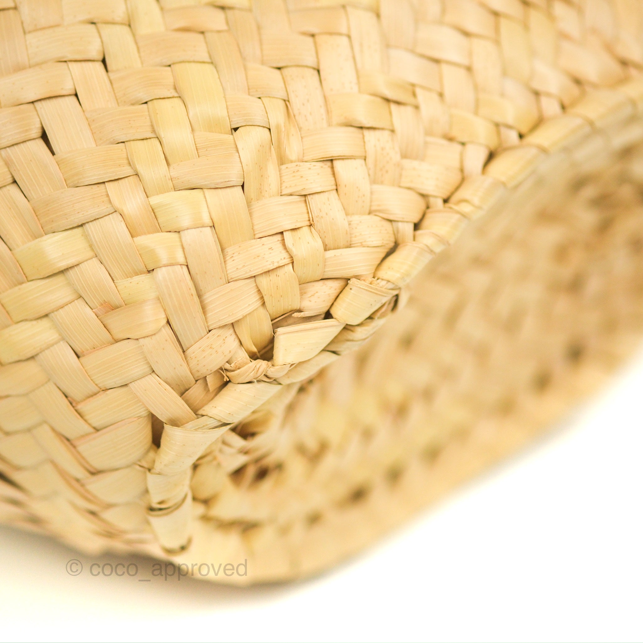 Celine Nano Triomphe Bag in Palm Leaves Calfskin Tan - Luxury Crossbody Purse for Women, Perfect for Everyday Use & Special Occasions
