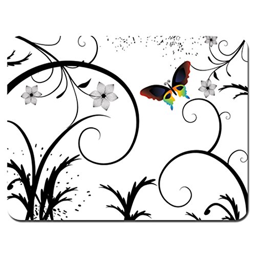 White Background Butterfly
