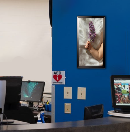 12x24 Poster Frame - Carbon Steel Swing Frame for Wall Art Display - Perfect for Home, Office, Gallery & Trade Show Decor