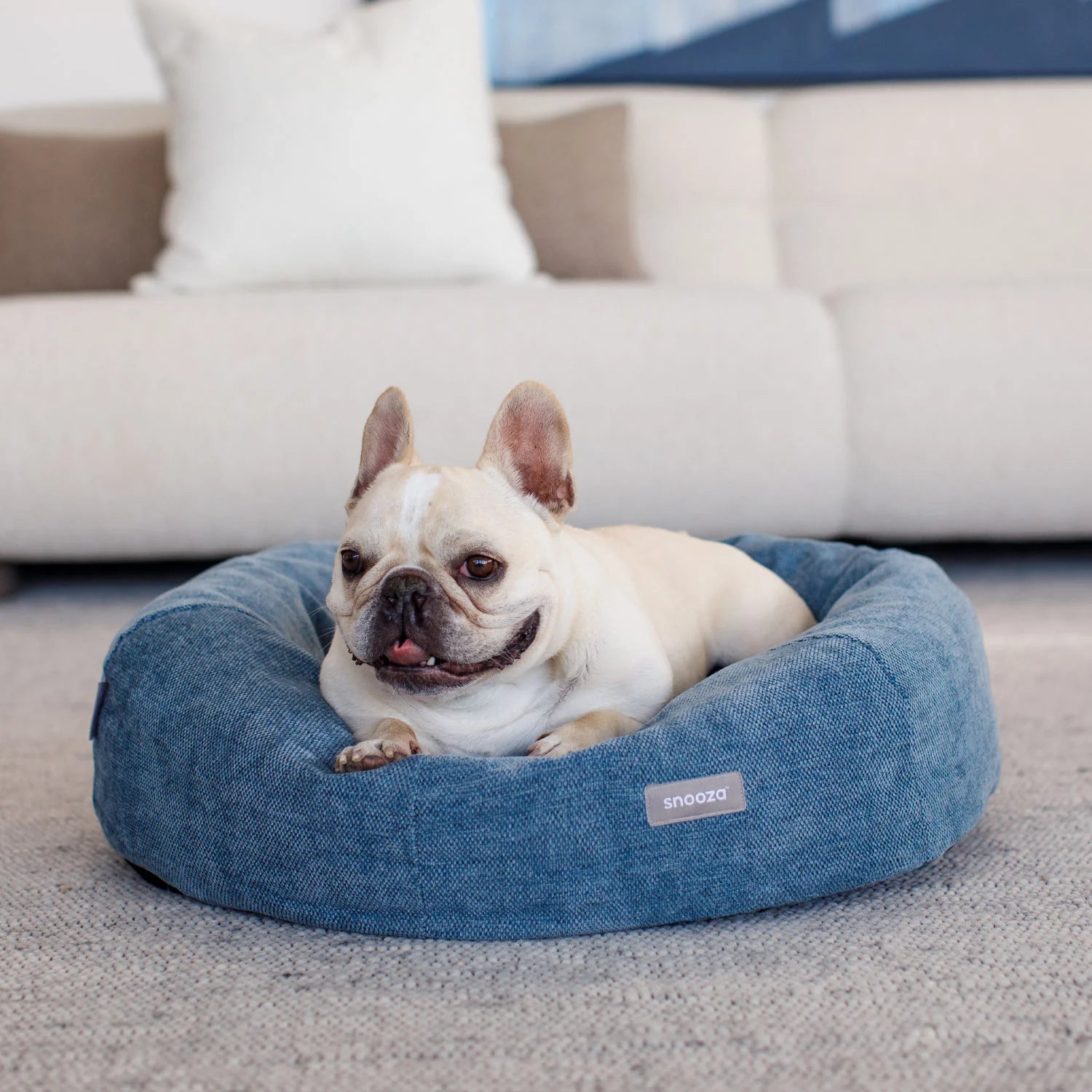 Premium Panelled Cuddler Dog Bed for Small & Medium Dogs - Soft & Cozy Pet Bed with Removable Washable Cover - Perfect for Home, Crate & Travel Use