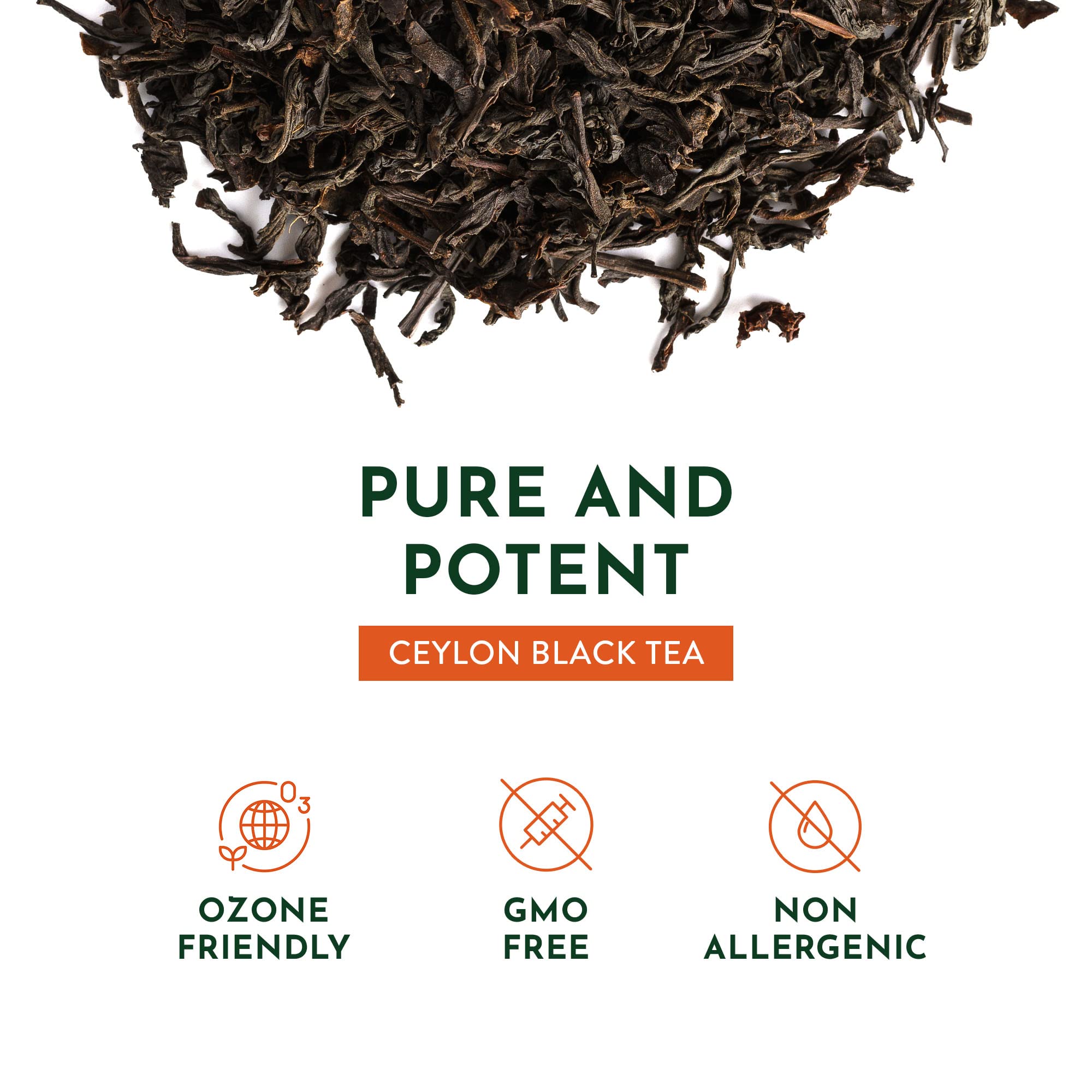 Tekola Tea Co. Organic Black Tea Loose Leaf - Premium Ceylon Blend, Robust Flavor, 16oz | USDA Certified Organic, Antioxidant-Rich | Perfect for Morning Boost & Afternoon Relaxation