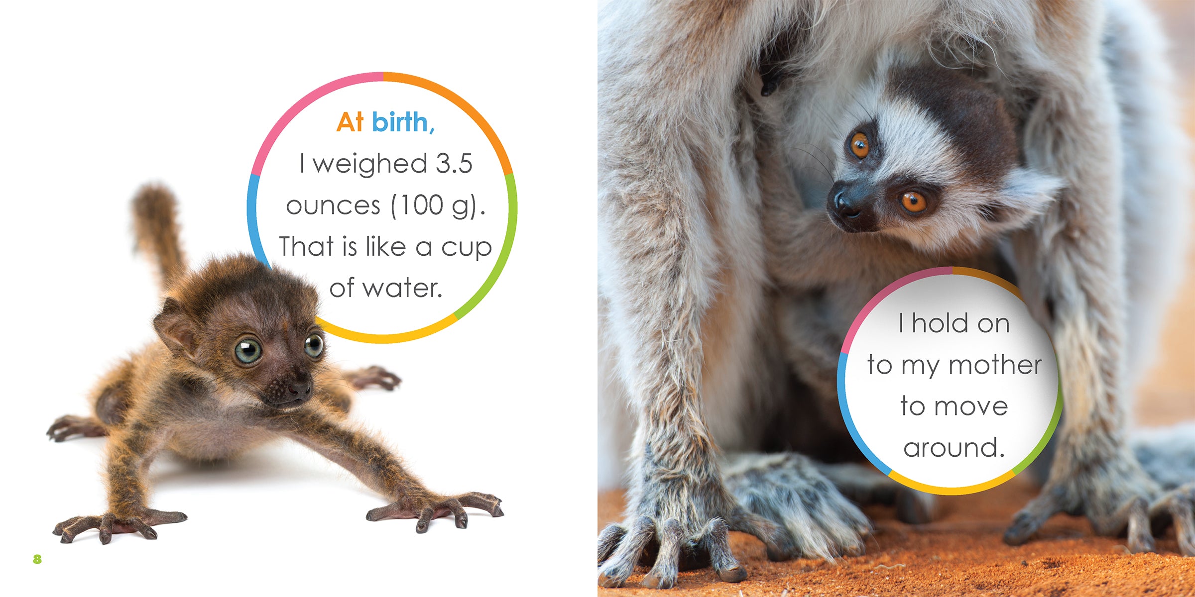 Baby Lemurs Book - ISBN 978-1-64026-349-9 | Educational Children's Animal Picture Book for Kids Learning About Wildlife