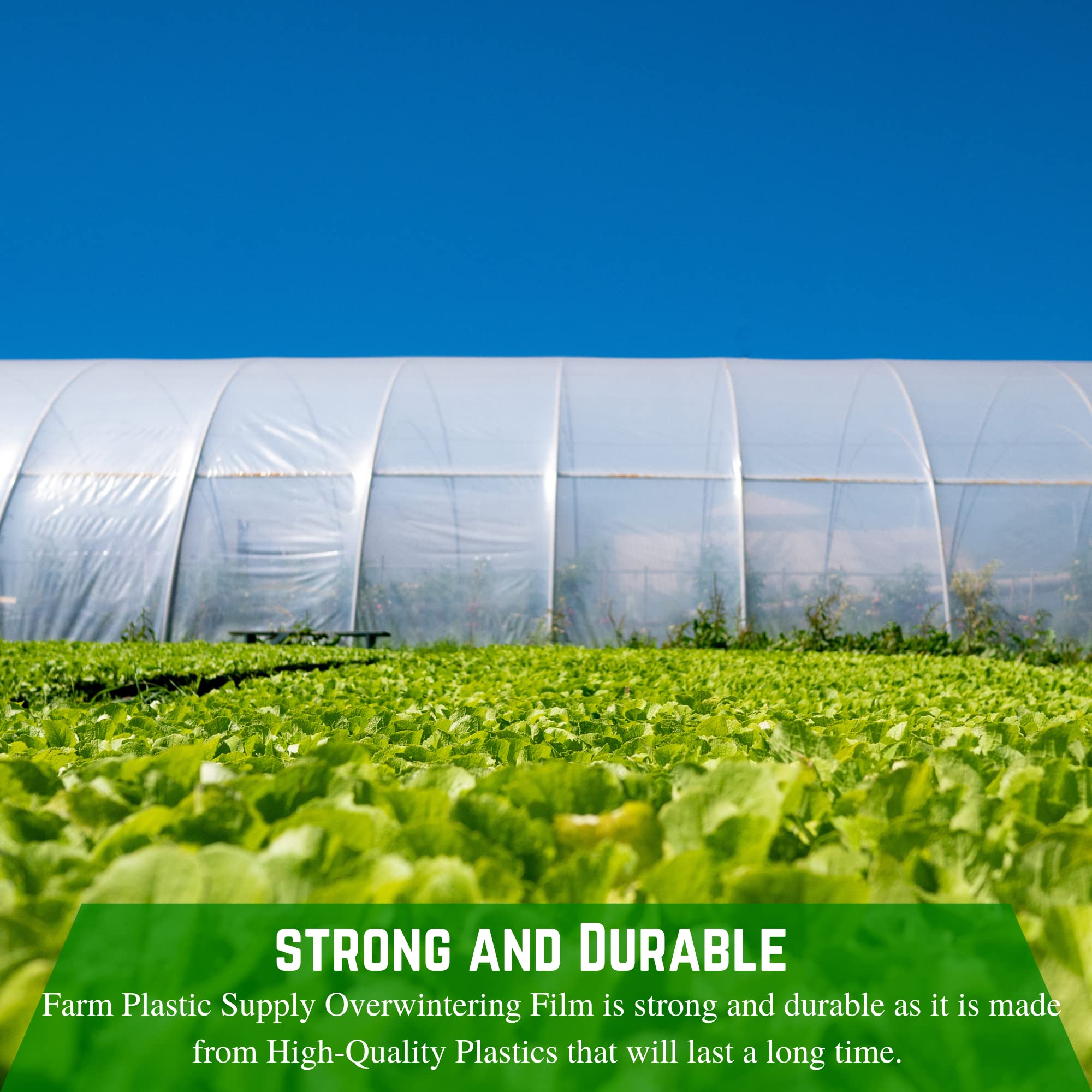 2.4 Mil White Plastic Sheeting - Durable Greenhouse Film, Overwintering Cover for Plants - 16' x 150' - Farm Plastic Supply - Perfect for Crop Protection, Cold Weather Gardening & Greenhouse Applications