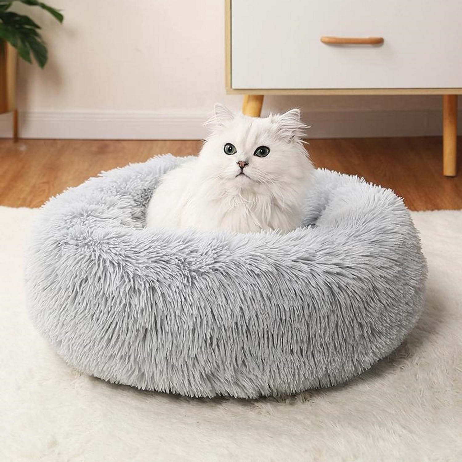 Washable Small Cat Bed for Indoor Cats & Puppy Bed - 16 Inch Cozy Pet Bed for Kittens & Small Dogs Under 5lbs | Perfect for Home, Office & Travel Use