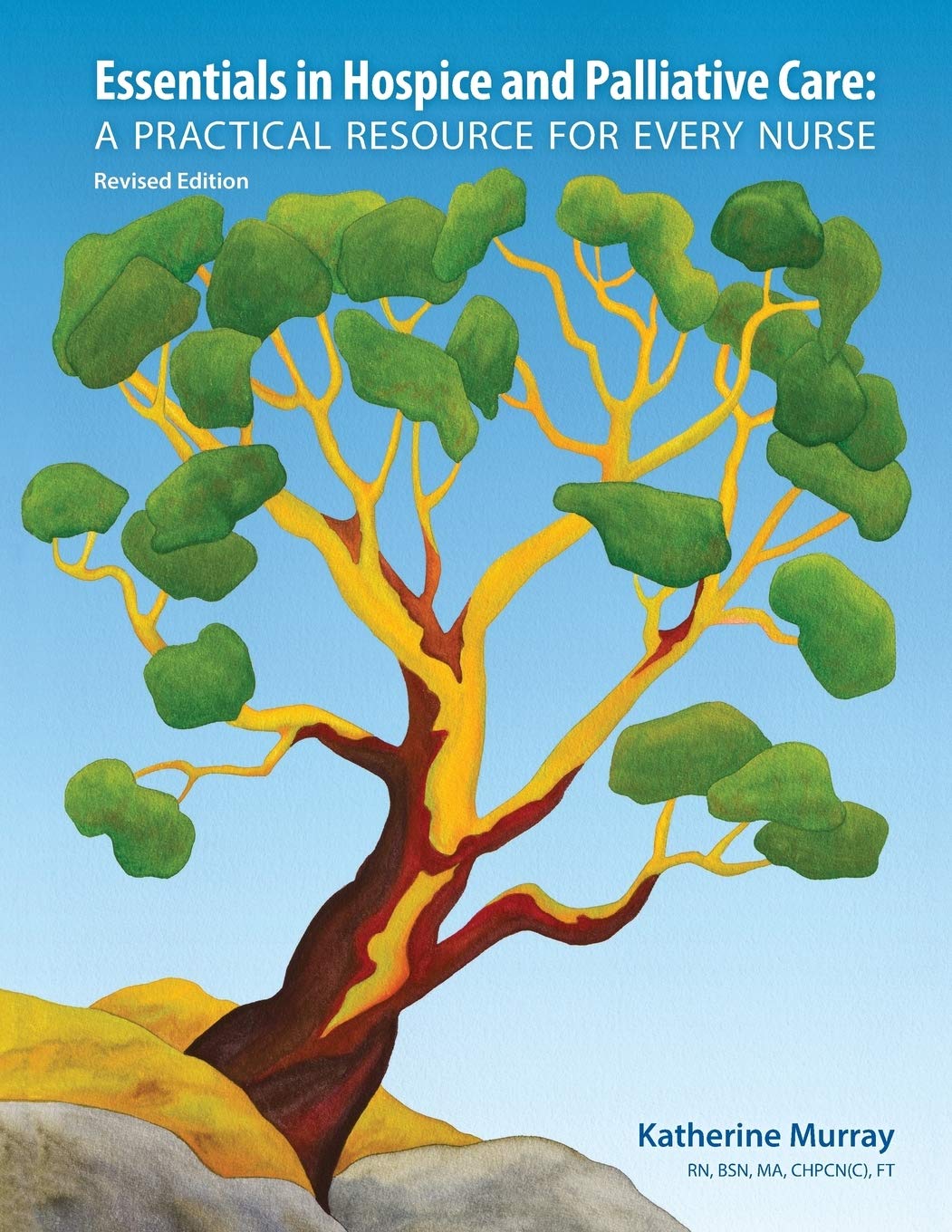Hospice and Palliative Care Essentials: Practical Nursing Resource Guide for End-of-Life Care | Ideal for Nurses, Caregivers & Healthcare Professionals