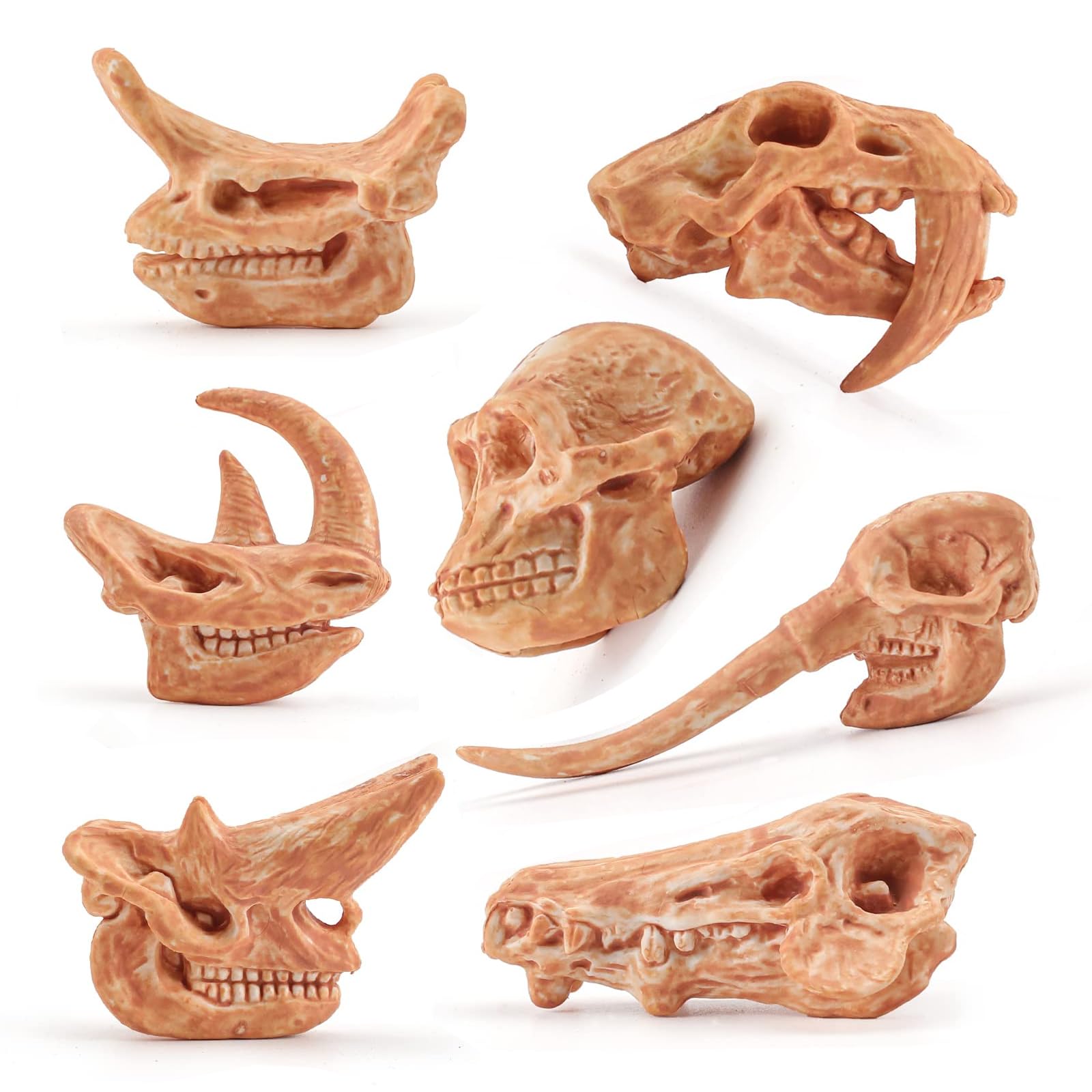 LC JoyCre Realistic Mini Prehistoric Animal Bones Set - Dinosaur Fossil Dig Kit for Kids, STEM Educational Sandbox Toys for Paleontology Learning | Perfect for Birthday Gifts, Classroom Activities & Science Projects