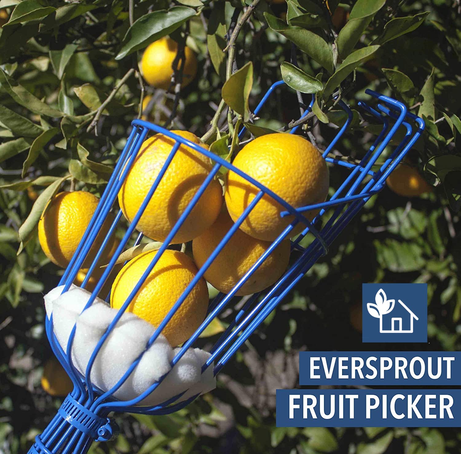 EVERSPROUT Twist-On Fruit Picker Basket - 3/4-inch ACME Threaded Pole Attachment for Harvesting Apples, Mangoes & More | Lightweight Fruit Harvesting Tool | Perfect for Home Orchards & Backyard Gardening (Head Only, Pole Sold Separately)