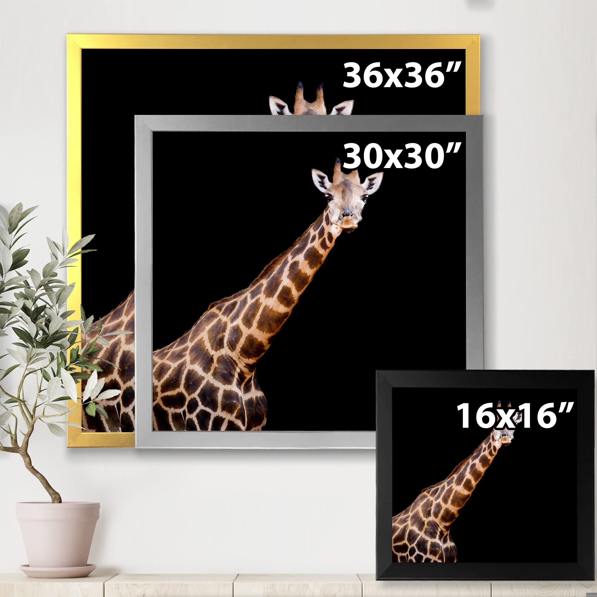 DesignQ Giraffe Portrait VII - Farmhouse Framed Wall Art Decor for Living Room, Bedroom & Office