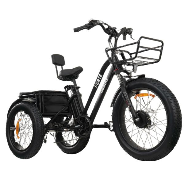 Go Bike FORTE Electric Tricycle for Adults - 750W Motor, 48V 15Ah Battery, 25MPH Speed - Perfect for Commuting, Grocery Shopping & Senior Mobility
