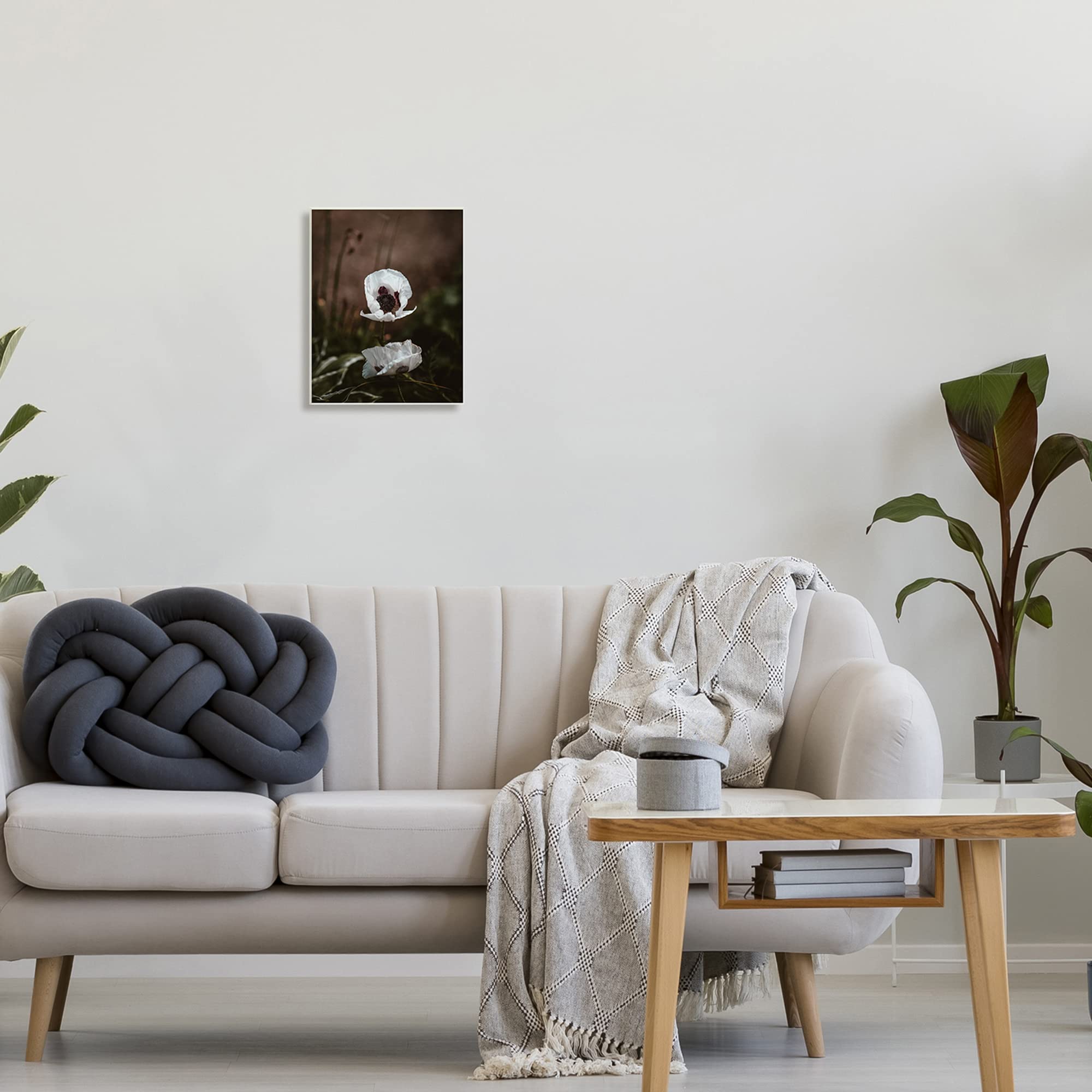 Stupell Industries White Flower Blossom Forest Photography Wall Art - Nature Inspired Home Decor for Living Room, Bedroom & Office - Designed by Incado