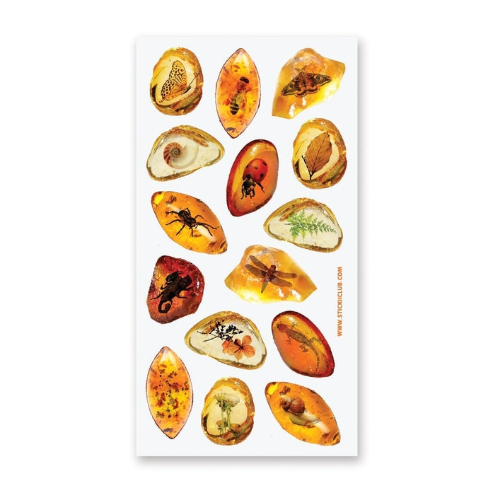 Amber Fossil Stickers - Realistic Dinosaur & Insect Sticker Sheet for Scrapbooking, Journals, and DIY Crafts - Perfect for Kids, Teachers, and Paleontology Enthusiasts