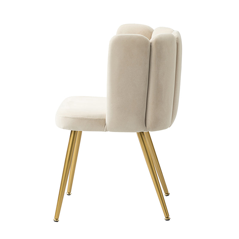Elodia Side Chair - Modern Accent Chair for Dining Room, Living Room & Office - Sturdy Wooden Frame with Upholstered Seat - Perfect for Home Decor & Small Spaces