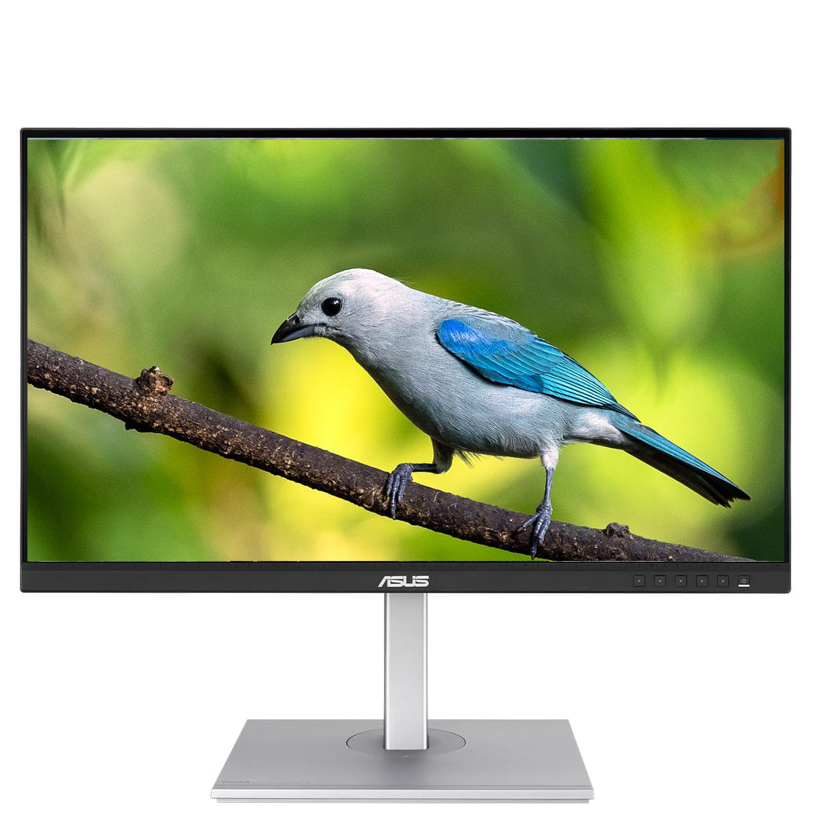 ASUS ProArt PA279CV 27