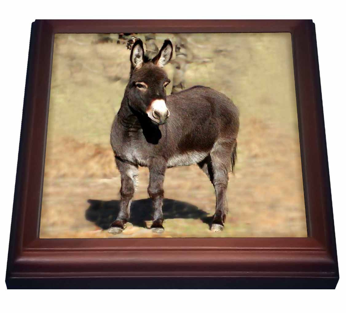 3D Rose Miniature Donkey Ceramic Tile Trivet - 8x8 Inch Brown Heat Resistant Coaster for Kitchen, Dining Table, and Home Decor