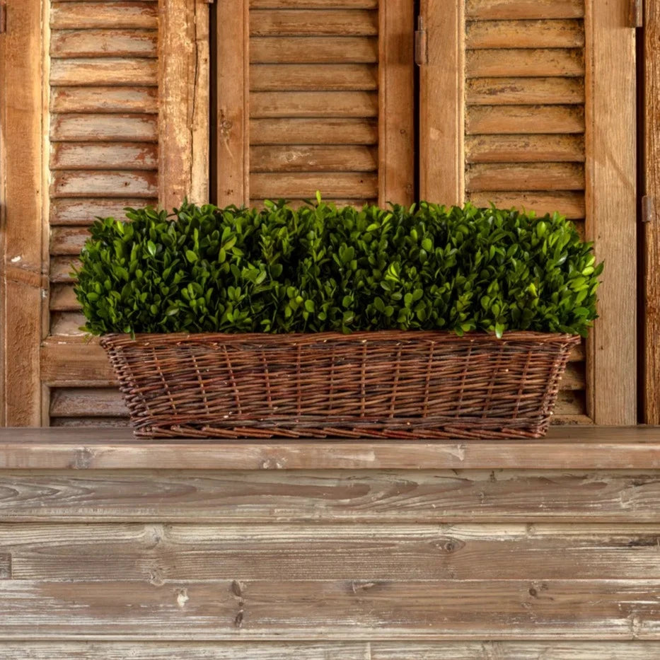 Extra Large Preserved Boxwood Hedge in Basket - Artificial Topiary Plant for Home & Office Decor - Perfect for Indoor and Outdoor Use