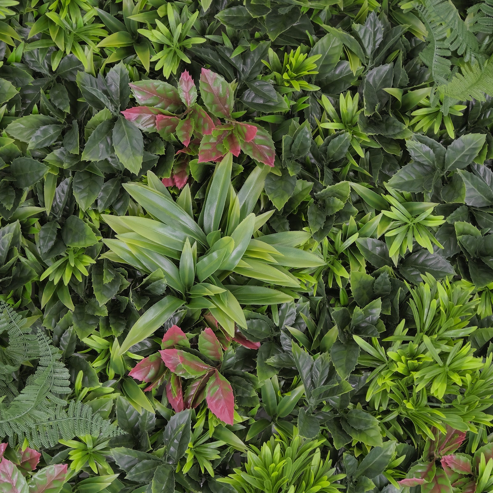 Artificial Hedge Tropical Bliss 100x100cm - Premium Faux Green Wall Panel for Indoor/Outdoor Decor, Privacy Screen, and Garden Landscaping