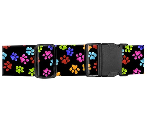 Cute Colorful Paws