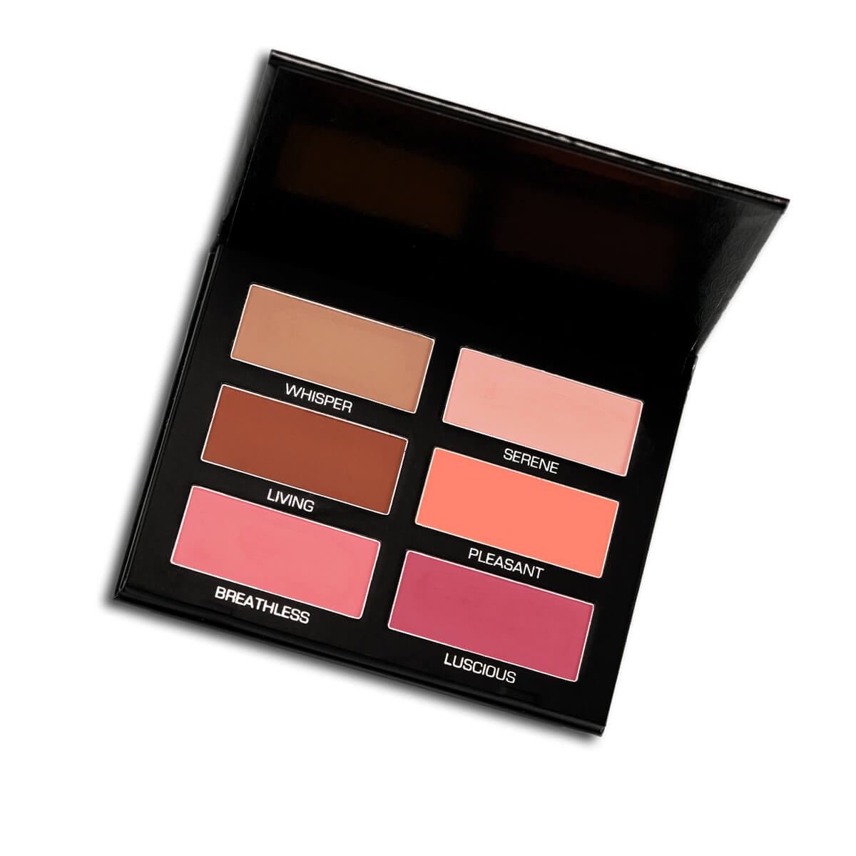 Cozzette Infinite Padded Palettes - Professional Makeup Palette for Artists & Beauty Enthusiasts | Perfect for Travel, Studio & On-the-Go Makeup Application