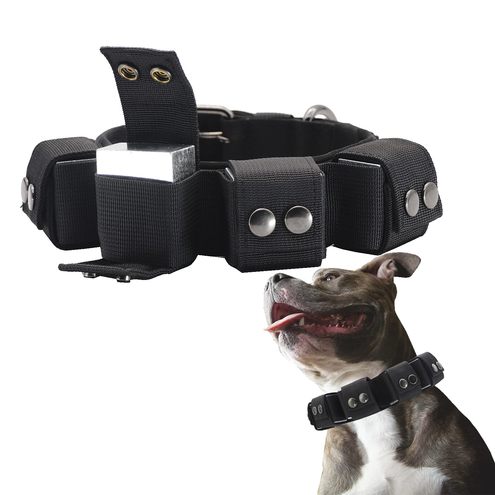 Walktime Weighted Dog Collar for Training & Exercise - Adjustable Tactical Collar with Removable Weights for Small, Medium & Large Dogs - Perfect for Outdoor Adventures & Obedience Training