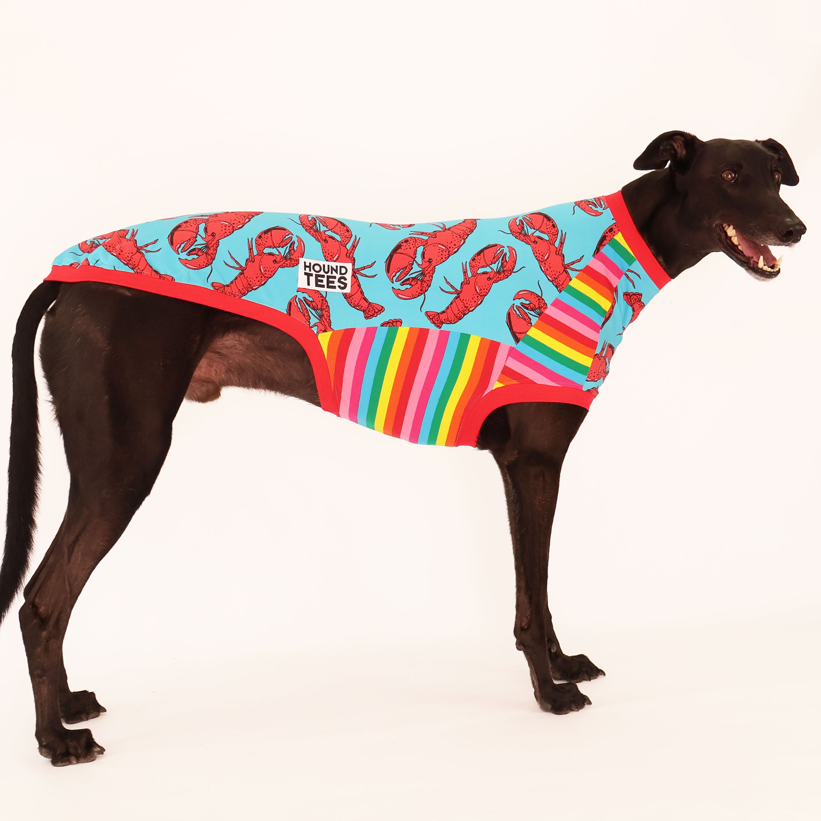 Rock Lobster Greyhound Sleeveless Hound Tee - Comfortable Dog Lover T-Shirt for Casual Wear & Outdoor Activities