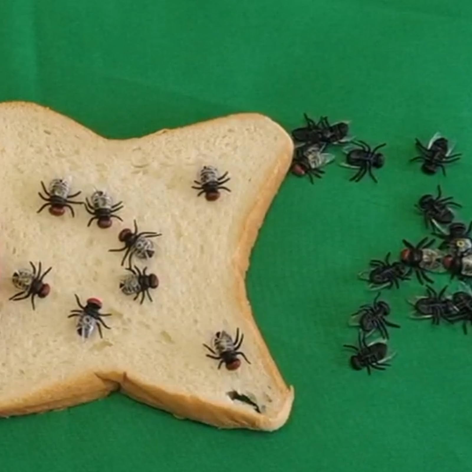 100PCS Plastic Fake Flies Prank Joke Toys for Halloween, Party Gags, Office Pranks, and Practical Jokes - Realistic Looking Novelty Insects for Tricking Friends