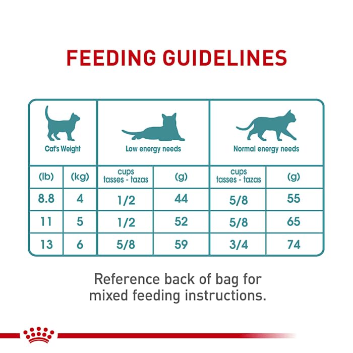 Royal Canin Feline Hairball Care Dry Cat Food - 3 lb Bag | Vet-Recommended Nutrition for Cats with Hairball Issues | Perfect for Indoor Cats & Long-Haired Breeds